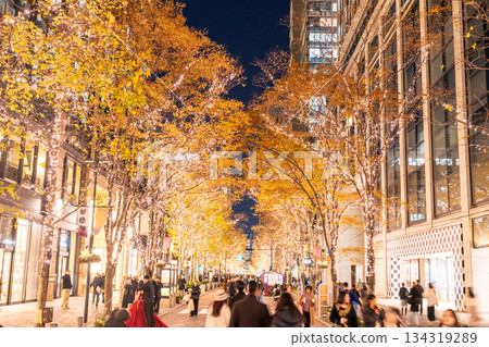 《東京》丸之內 / 冬季燈飾 134319289