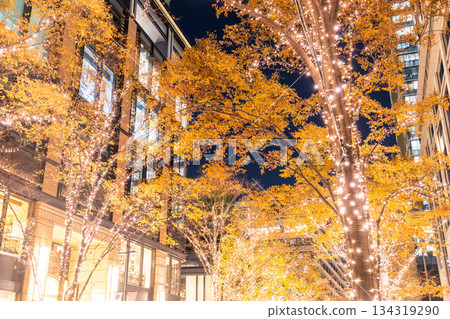 《東京》丸之內 / 冬季燈飾 134319290