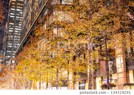 《東京》丸之內 / 冬季燈飾 134319291