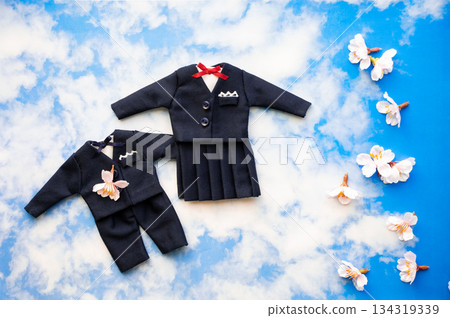 Image of entrance ceremony with blue sky background 134319339
