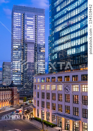 Tokyo Station night view 134319442