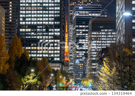"Tokyo" Night view of central Tokyo and office district 134319464