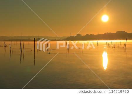 Asahi reflected on the surface of the water 134319750