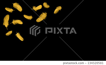 Gold foil feathers on a black lacquer background, an image of the traditional Japanese craft "maki-e" 134320581