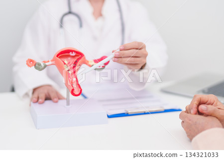 Woman patient consulting doctor with anatomy Uterus and Ovaries. Ovarian and Cervical cancer, Cervix disorder, Endometriosis, Hysterectomy, Uterine fibroids, Reproductive system and Pregnancy concept Woman patient consulting doctor with anatomy Uterus and Ovaries. Ovarian and Cervical cancer, Cervix disorder, Endometriosis, Hysterectomy, Uterine fibroids, Reproductive system and Pregnancy concept 134321033