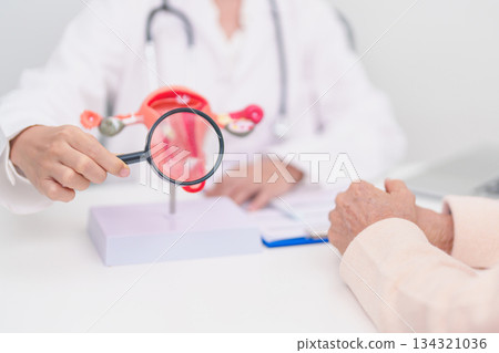 Woman patient consulting doctor with anatomy Uterus and Ovaries. Ovarian and Cervical cancer, Cervix disorder, Endometriosis, Hysterectomy, Uterine fibroids, Reproductive system and Pregnancy concept Woman patient consulting doctor with anatomy Uterus and Ovaries. Ovarian and Cervical cancer, Cervix disorder, Endometriosis, Hysterectomy, Uterine fibroids, Reproductive system and Pregnancy concept 134321036
