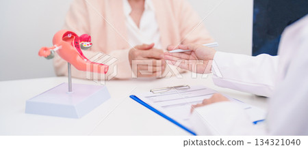 Elderly Woman patient consulting doctor with anatomy Uterus and Ovaries. Ovarian and Cervical cancer, Cervix disorder, Endometriosis, Hysterectomy, Uterine fibroids, Reproductive system and Pregnancy Elderly Woman patient consulting doctor with anatomy Uterus and Ovaries. Ovarian and Cervical cancer, Cervix disorder, Endometriosis, Hysterectomy, Uterine fibroids, Reproductive system and Pregnancy 134321040