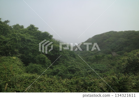 Lush vegetation on the hillside shrouded in mist Lush vegetation on the hillside shrouded in mist 134321611