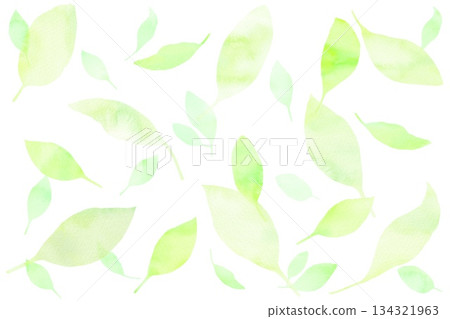 A seamless pattern background of fresh green leaves. A refreshing watercolor illustration reminiscent of spring. 134321963
