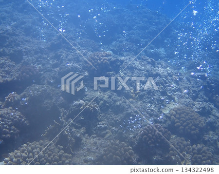 A view of bubbles rising from the cracks in the rocks in the sea A view of bubbles rising from the cracks in the rocks in the sea 134322498
