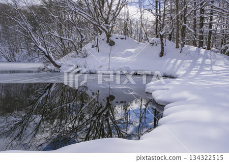 積雪的池塘 積雪的池塘 134322515