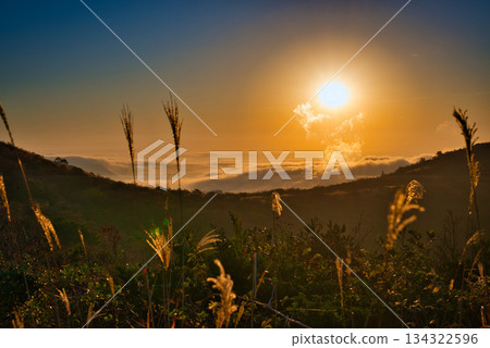 A rural landscape with a sea of clouds sparkling in the morning sun and Japanese pampas grass 134322596