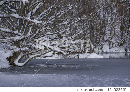 冰凍的池塘 冰凍的池塘 134322861