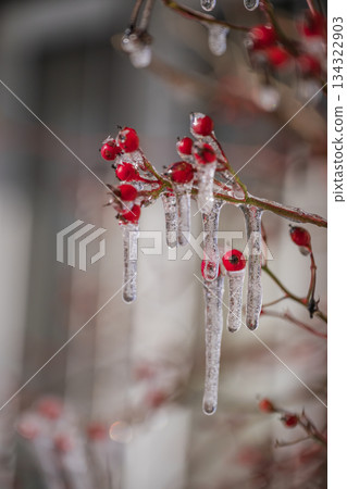 冷凍紅莓冰柱 134322903