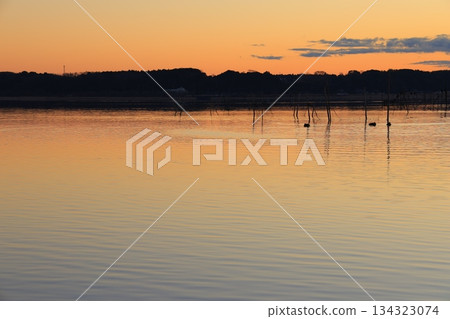 Morning glow reflected on the water surface 134323074