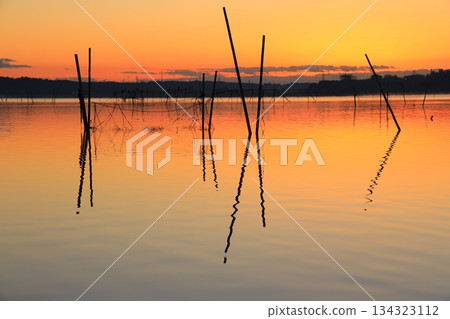 Morning glow reflected on the water surface 134323112