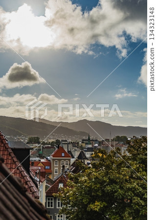 從山上看城市 從山上看城市 134323148