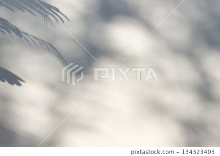 Abstract natural tree leaves shadow on white wall background Abstract natural tree leaves shadow on white wall background 134323403