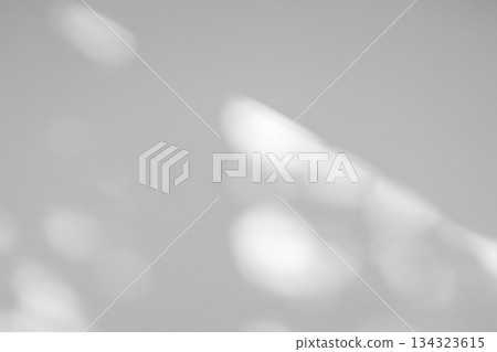 Abstract natural tree leaves shadow on white wall background 134323615