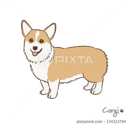 手繪柯基犬向量圖 手繪柯基犬向量圖 134323794