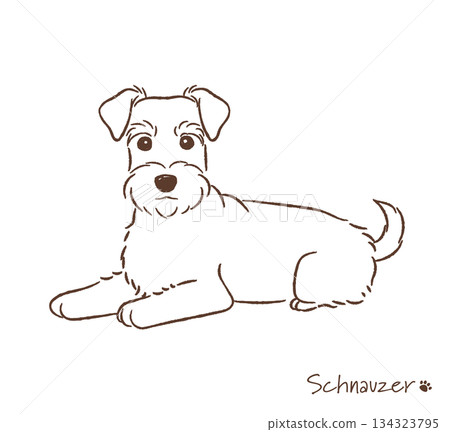 手繪雪納瑞犬線圖_向量圖 134323795