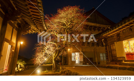 koreatemple with mountain 134323959