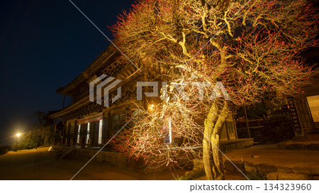 koreatemple with mountain 134323960