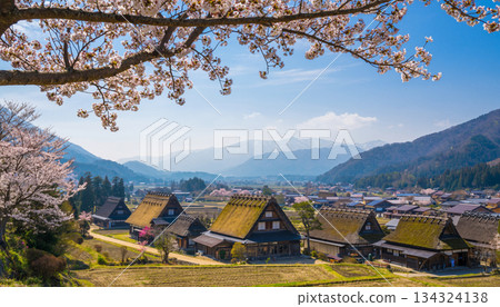 日本鄉村的自然風光和合掌造風格的房屋 日本鄉村的自然風光和合掌造風格的房屋 134324138