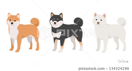 Shiba Inu 3-color set_No collar_Vector illustration Shiba Inu 3-color set_No collar_Vector illustration 134324299