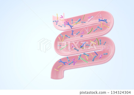 背景插圖：促進腸道健康和增強免疫力的腸道細菌。留白區域。 134324304