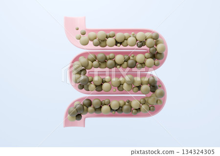 Illustration of an intestinal environment where bad bacteria proliferate due to constipation Health risks Illustration of an intestinal environment where bad bacteria proliferate due to constipation Health risks 134324305