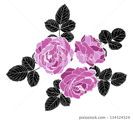 Pink Roses Botanical Branch Composition Pink Roses Botanical Branch Composition 134324324