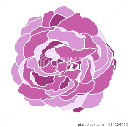 Pink Peony Flower Vector Illustration Pink Peony Flower Vector Illustration 134324433