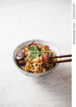 octopus rice octopus rice 134325197