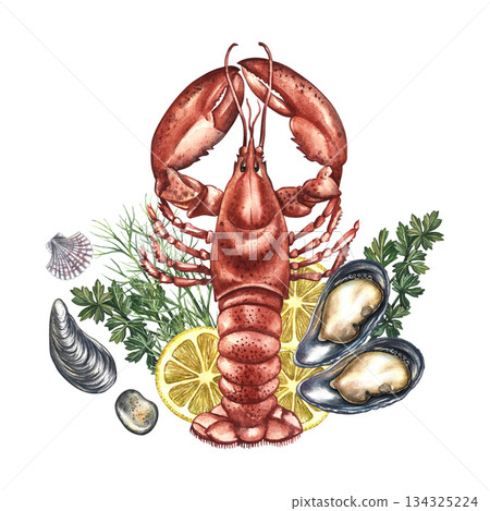 Boiled lobster with lemon, mussels, and herbs. Hand-drawn watercolor illustration. Colorful image of a seafood dish. Perfect for menu design, recipe books, packaging, labels, and more. 134325224