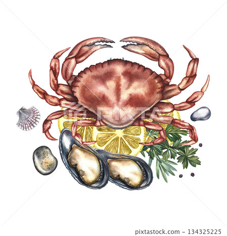 Boiled crab with lemon, mussels, and herbs. Hand-drawn watercolor illustration. Colorful image of a seafood dish. Perfect for menu design, recipe books, packaging, labels, and more. 134325225