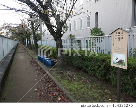 Basho Haiku promenade near the site of Saito-an in Koto Ward Basho Haiku promenade near the site of Saito-an in Koto Ward 134325270