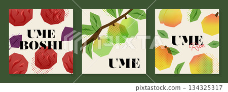 Paper-cut style plum and pickled plum illustration set Paper-cut style plum and pickled plum illustration set 134325317
