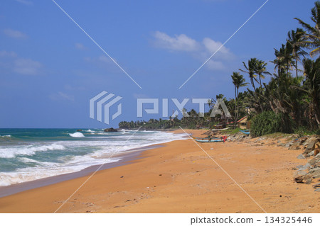 Coco palms at Bara Beach, Galle, Sri Lanka. Coco palms at Bara Beach, Galle, Sri Lanka. 134325446