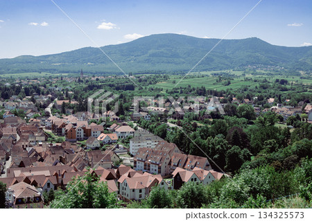 阿爾薩斯奧伯奈的街道，以其白葡萄酒而聞名 134325573