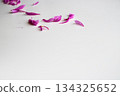 Scattered peony petals Scattered peony petals 134325652
