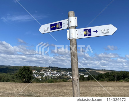 天空下，聖地牙哥朝聖之路的路標分岔而出。 134326672