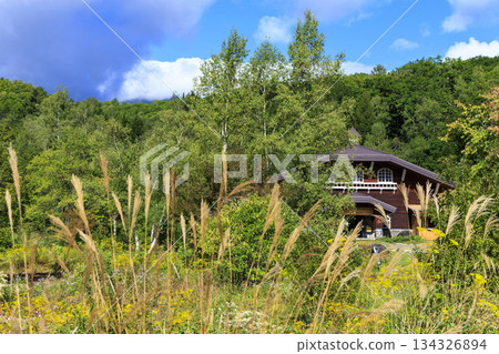 A cafe and blue sky at Norikura Highlands, surrounded by colorful flowers and deep green forests A cafe and blue sky at Norikura Highlands, surrounded by colorful flowers and deep green forests 134326894