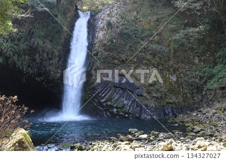 靜岡縣伊豆市的淨蓮瀑布，是日本百大瀑布之一。 134327027