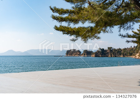 Sea, pine and sky 134327076