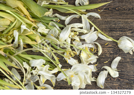 dry ugly flowers and tulip petals are scattered on an old black wooden table, flower details from a gift bouquet that have wilted and crumbled from long-term storage. dry ugly flowers and tulip petals are scattered on an old black wooden table, flower details from a gift bouquet that have wilted and crumbled from long-term storage. 134327279