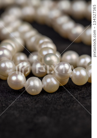 unpolished irregular shaped pearls from a marine mollusk used in the manufacture of women's jewelry beads, a necklace made from natural pearl beads strung on a string on black velvet unpolished irregular shaped pearls from a marine mollusk used in the manufacture of women's jewelry beads, a necklace made from natural pearl beads strung on a string on black velvet 134327365