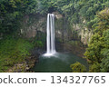 Gorogataki Falls, Kamimashiki District, Kumamoto Prefecture 134327765