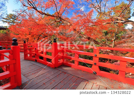 [Kyoto Prefecture] Autumn leaves at the teahouse Baikoken (Momijien) at Kitano Tenmangu Shrine 134328022
