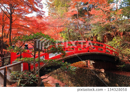 【京都】北野天滿宮鶯橋（紅葉園）的秋葉 134328058